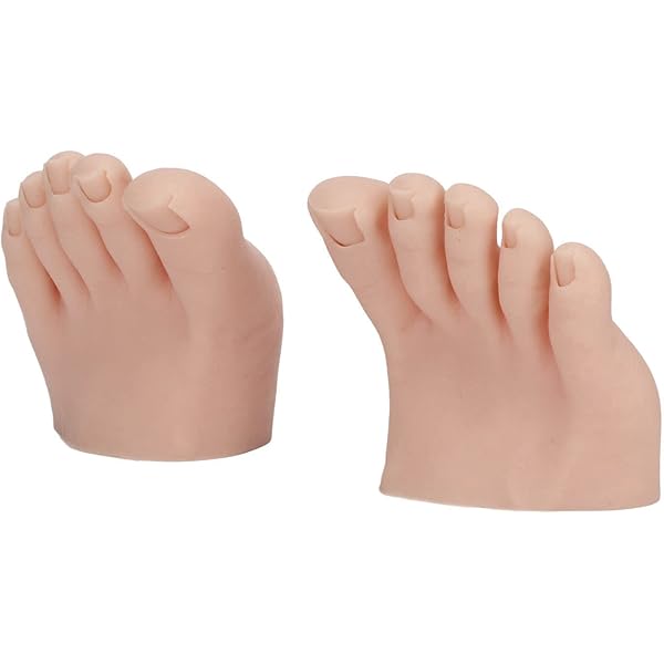 Amazon.co.jp: WOONEKY 2 パック 人体模型 足の模型 シリコン足